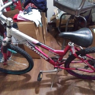 Photo of Schwinn women's bike