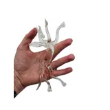 Listing Photo Thumb #4