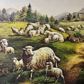 Photo of The Meadow in Springtime The Twin Lambs Currier & Ives Lithograph 12x16 V7