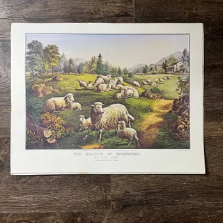 Photo of The Meadow in Springtime The Twin Lambs Currier & Ives Lithograph 12x16 V7