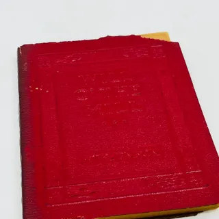 Photo of c1920 Little Leather Library Book WILL O’ THE MILL Stevenson TA7