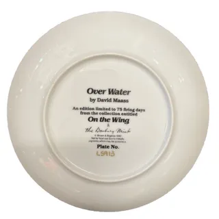 Photo of Over Water On The Wing Danbury Mint David Maass Collector Plate
