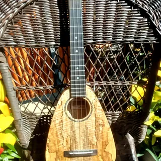 Photo of ukulele Romero Creations Ukulele Tiny Tenor Spalted MangoLow G - $925 (Oceanside)