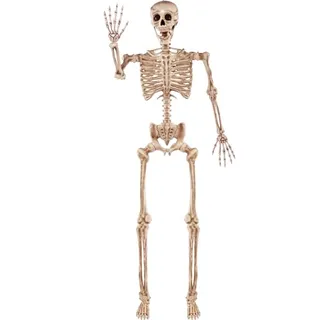 Photo of Joyin 5.6-ft. Halloween Posable Life Size Skeleton