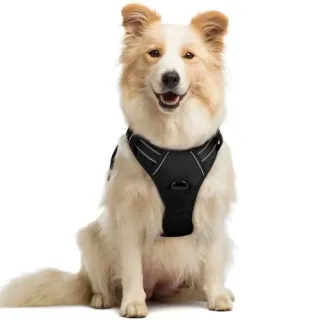 Photo of rabbitgoo Dog Harness
