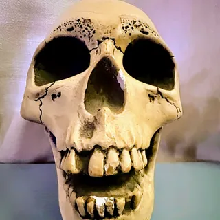 Photo of Vintage 1974 Randotti Laughing Glow-in-the-Dark Skull #847  Original Disneyland/Walt Disney World Souvenir 
