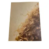 Listing Photo Thumb #7