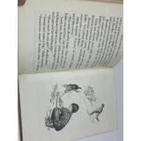 Listing Photo Thumb #8