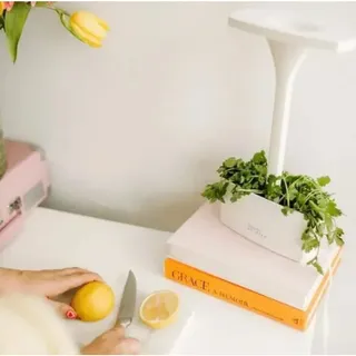 Photo of Short Stories LED Indoor Garden Herb Planter Modern Look White w USB NEW in BOX