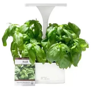 Photo of Short Stories LED Indoor Garden Herb Planter Modern Look White w USB NEW in BOX