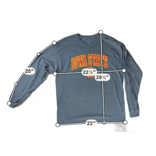 Photo of Iowa State Cyclones Long Sleeve T Shirt Mens Large Gray NCAA College Top of Worl