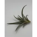 Listing Photo Thumb #8