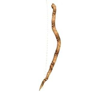 Photo of Large Poseable Stuffed Snake Plush 56” Bendable Wire Armature Realistic Plush