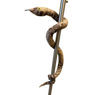 Photo of Large Poseable Stuffed Snake Plush 56” Bendable Wire Armature Realistic Plush