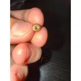 Listing Photo Thumb #5