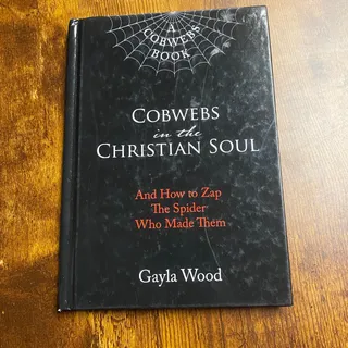 Photo of Cobwebs in the Christian Soul And How to Zap the Spider Who Made Them Gayla Wood