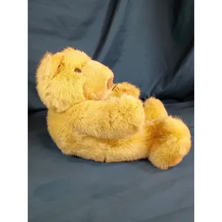 Photo of Chosun International Tan Teddy Bear Plush