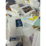 Listing Photo Thumb #6