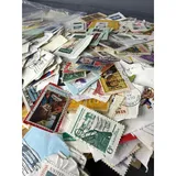 Listing Photo Thumb #7