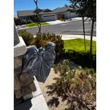 Listing Photo Thumb #8
