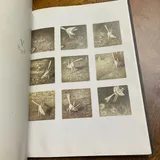 Listing Photo Thumb #7