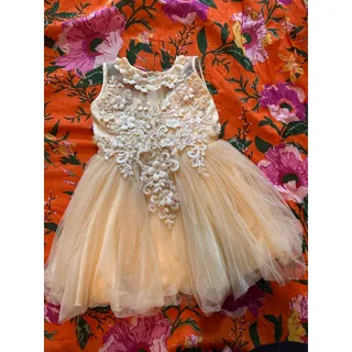 Photo of Flower Girl Dress for 18 mnths