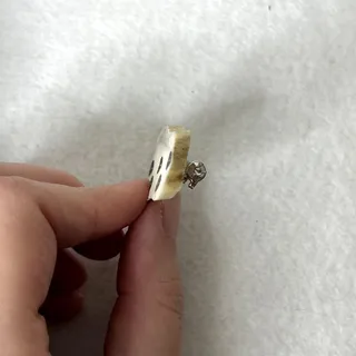 Photo of Real Deer Antler Engraved Pin