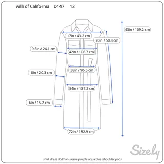 Photo of shirt dress dolman sleeve purple aqua blue shoulder pads