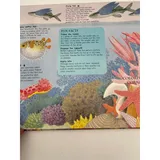 Listing Photo Thumb #5
