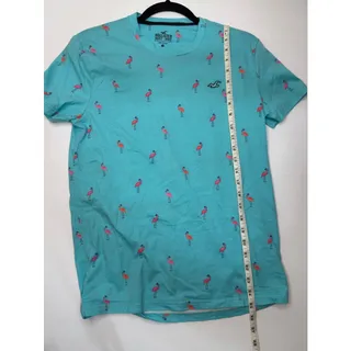 Photo of Hollister Mens S Flamingo Print T Shirt Aqua Blue Tropical Must-Have