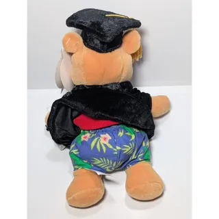 Photo of Disneyland Graduation Pooh Bear Plush 2002 Mini Bean Bag 8" w Tags Vintage