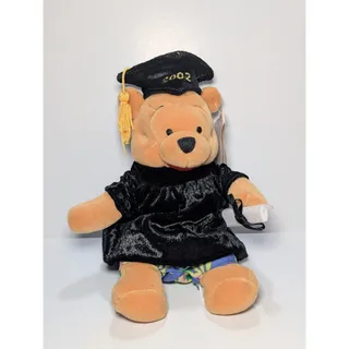 Photo of Disneyland Graduation Pooh Bear Plush 2002 Mini Bean Bag 8" w Tags Vintage
