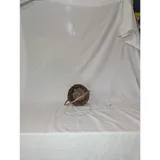 Listing Photo Thumb #2