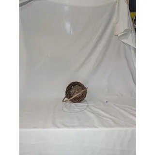 Photo of Woven Basket with Handle - Rustic Decor
