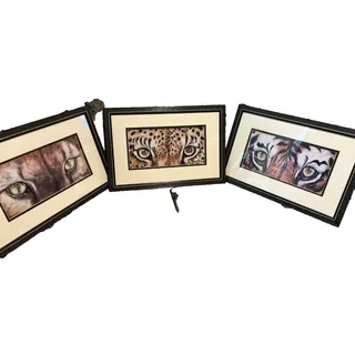 Photo of 3 Vintage Audrey Menefee Wildcat Eyes Printed Art Framed