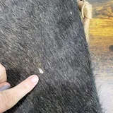 Listing Photo Thumb #7