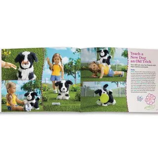 Photo of American Girl Doll Pet Book 24pc Craft Activity Set Care & Play Of Dog Cats New