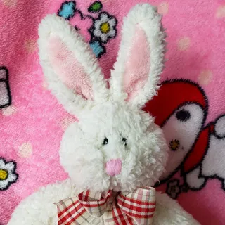 Photo of Vintage 2000 Plushland White Bunny Rabbit Bean Bag Plush Plaid Bow 8"