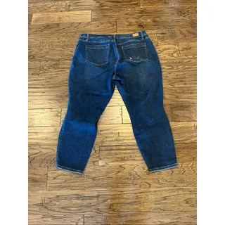 Photo of Judy Blue Skinny Fit High Rise Size 24W