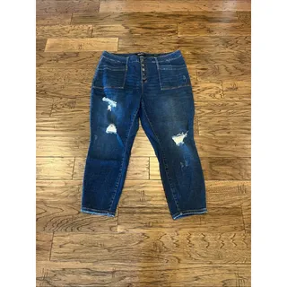 Photo of Judy Blue Skinny Fit High Rise Size 24W