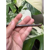 Listing Photo Thumb #6