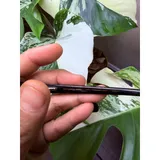 Listing Photo Thumb #5