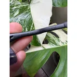 Listing Photo Thumb #3