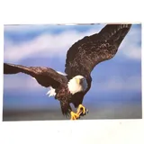 Listing Photo Thumb #5