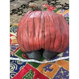 Listing Photo Thumb #6