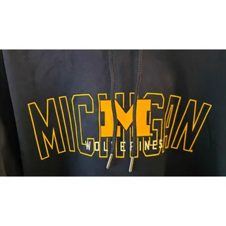 Photo of NWT Michigan Wolverines Hoodie -  Men's Size 2XL 50/52 - Blue
