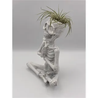 Photo of Yogi Skeleton Air Plant Holder, Meditating Skeleton, Halloween Decor, Planter