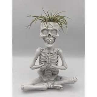 Photo of Yogi Skeleton Air Plant Holder, Meditating Skeleton, Halloween Decor, Planter
