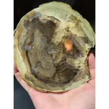 Listing Photo Thumb #3