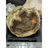 Listing Photo Thumb #7